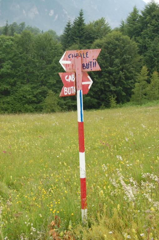 فندق Complexul Turistic Cheile Butii Cîmpu lui Neag المظهر الخارجي الصورة